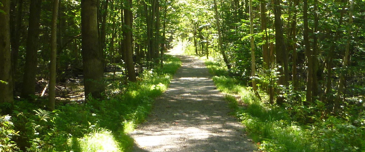 Ferguson Forest Centre Corporation Kemptville