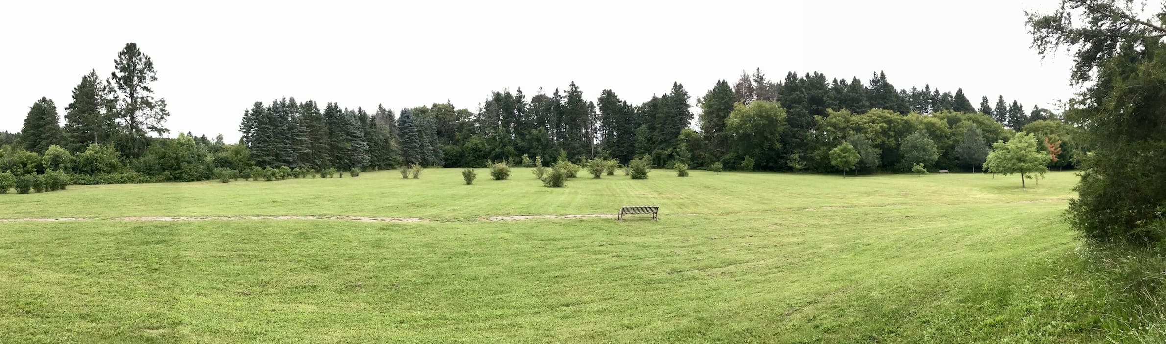 FFC Indigenous Forest Space