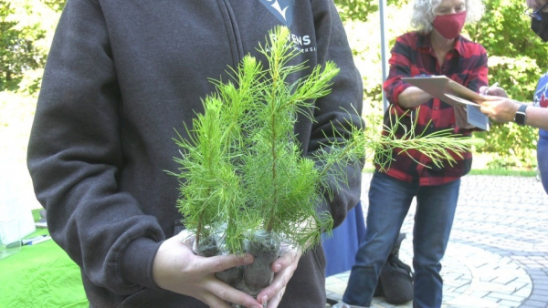 Ferguson Forest Center tree saplings used for largest free tree giveaway in Ottawa’s history