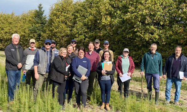 ‘We rely heavily on them’: Forest industry takes stock of Ferguson Tree Nursery