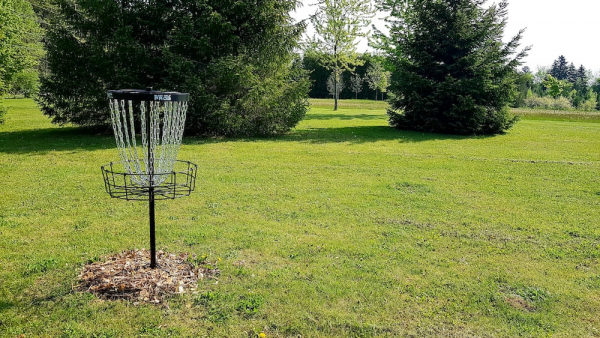 Disc Golf Introduced at Ferguson Forest Centre