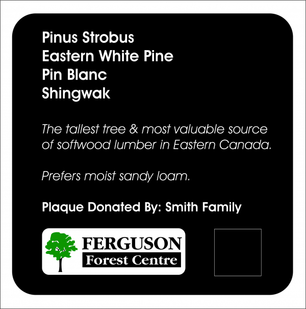 Ferguson Forest Centre Arboretum Tree Identification Plaque Program Unveiled