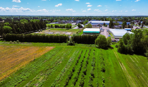 Municipality and Ferguson Agree on New Future for Tree Nursery